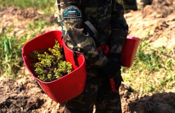 Игорь Руденя: Тверская область сохраняет лидерские позиции по лесовосстановлению Игорь Руденя: Тверская область сохраняет лидерские позиции по лесовосстановлению