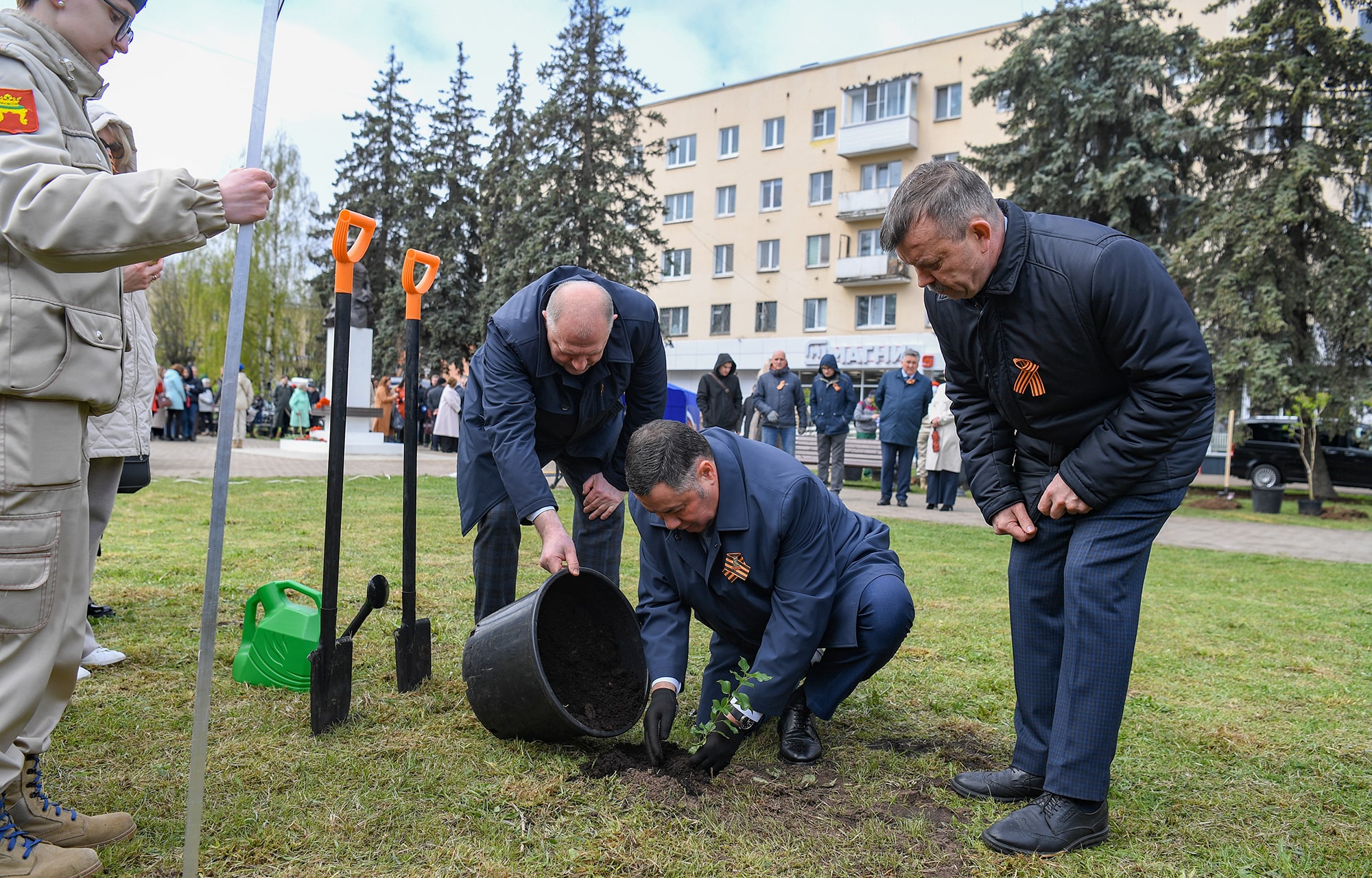 Больше миллиона новых деревьев высадили в Тверской области