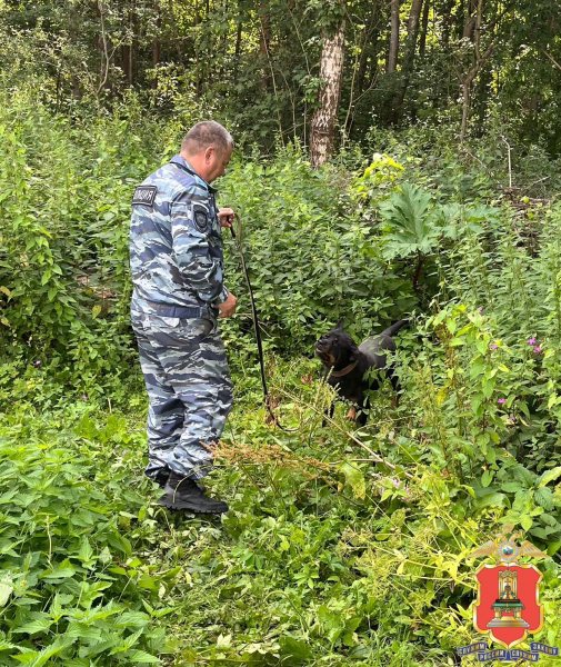 В Твери задержали наркокурьера, который собирался сделать 100 закладок с метадоном