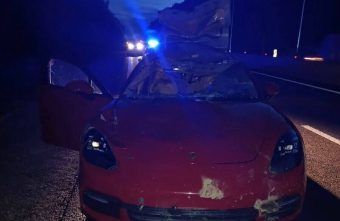 В Тверской области животное бросилось под дорогую иномарку