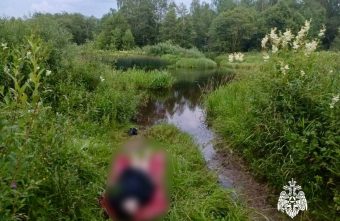 В Тверской области утонула молодая девушка В Тверской области утонула молодая девушка