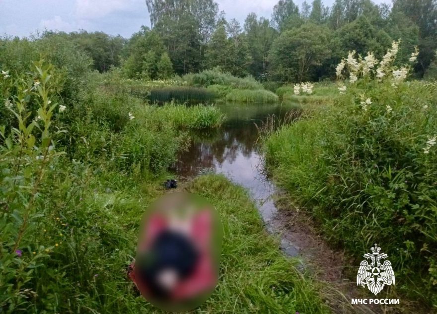 В Тверской области утонула молодая девушка