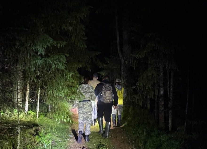 Волонтеры рассказали о трагическом завершении поисков дедушки в лесу под Тверью дедушки