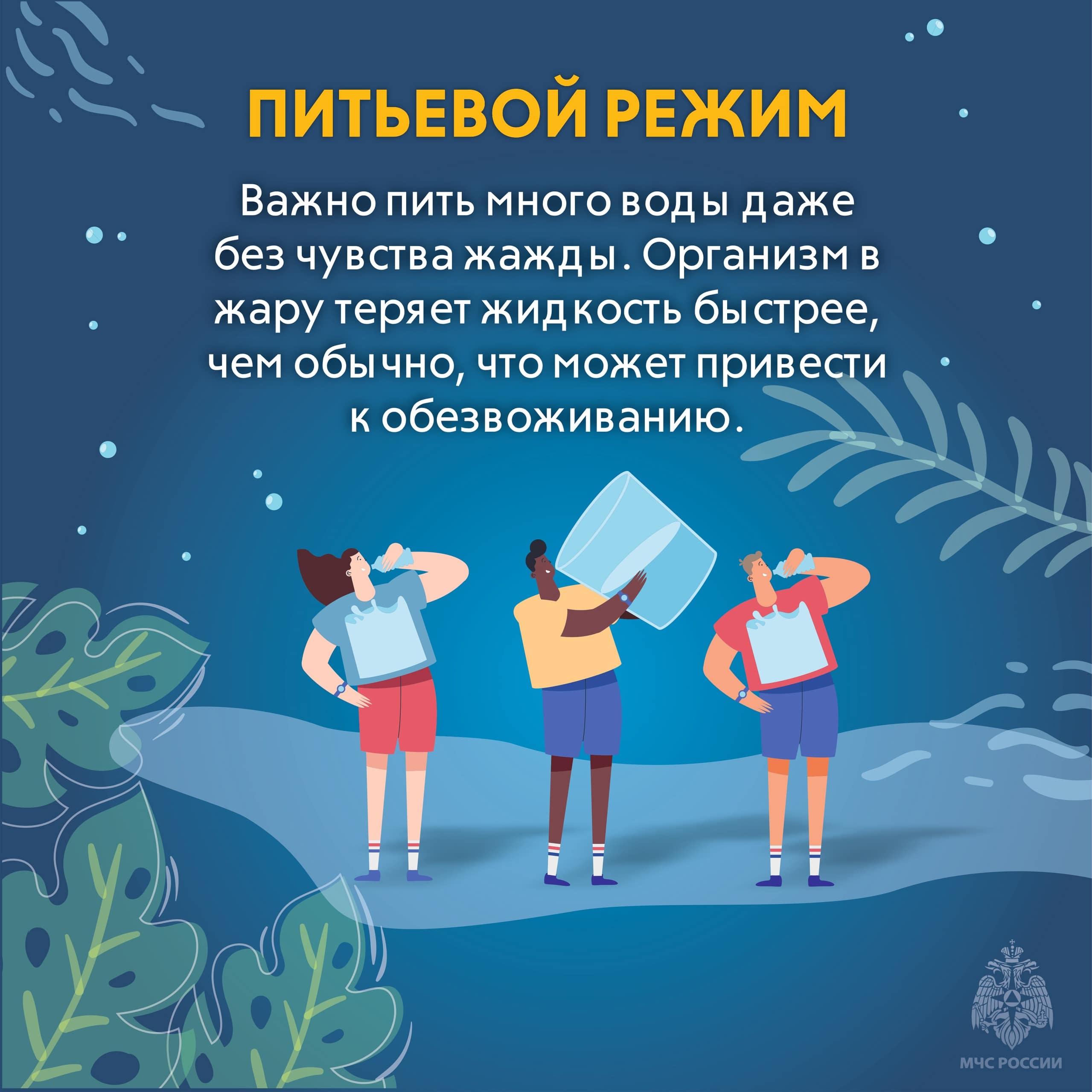 Жителей Тверской области призывают соблюдать меры безопасности в жару