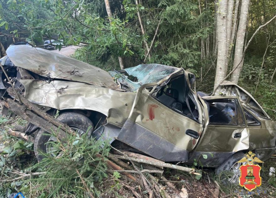 16-летняя школьница скончалась на месте ДТП в Тверской области