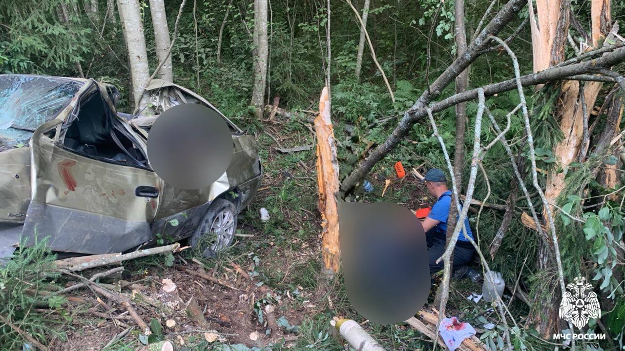 16-летняя школьница скончалась на месте ДТП в Тверской области