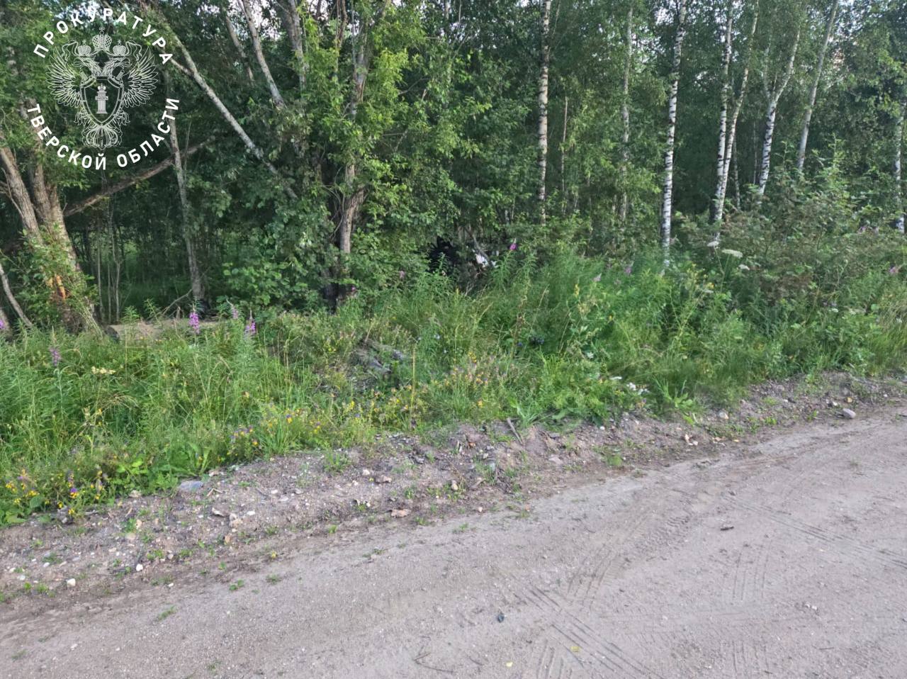 В Тверской области погибла девочка на квадроцикле