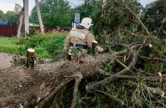 Последствия урагана в Тверской области ликвидируют спасатели Последствия урагана в Тверской области ликвидируют спасатели