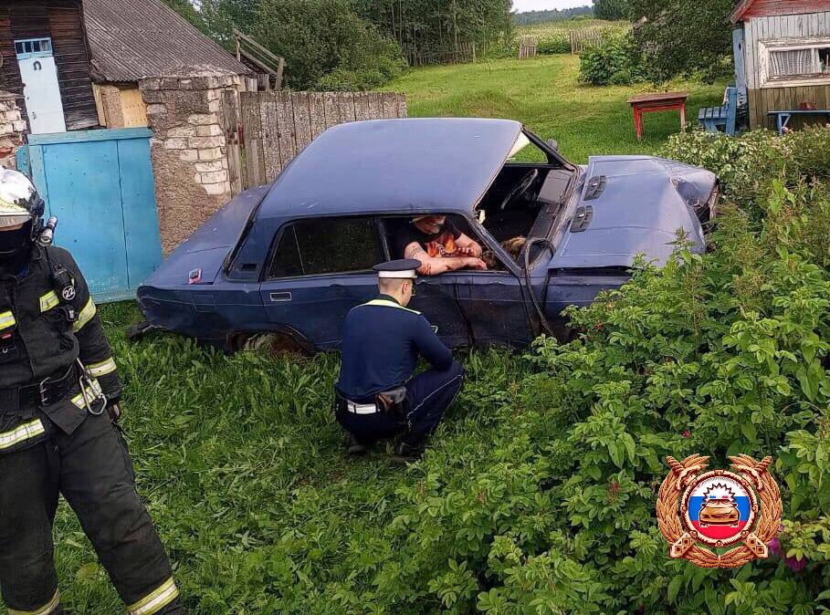кювет