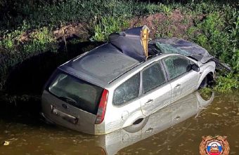 На трассе в Тверской области водитель встретился с лосем и погиб водитель