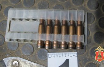 В Тверской области охотник, убивший лося, стал фигурантом уголовного дела лося