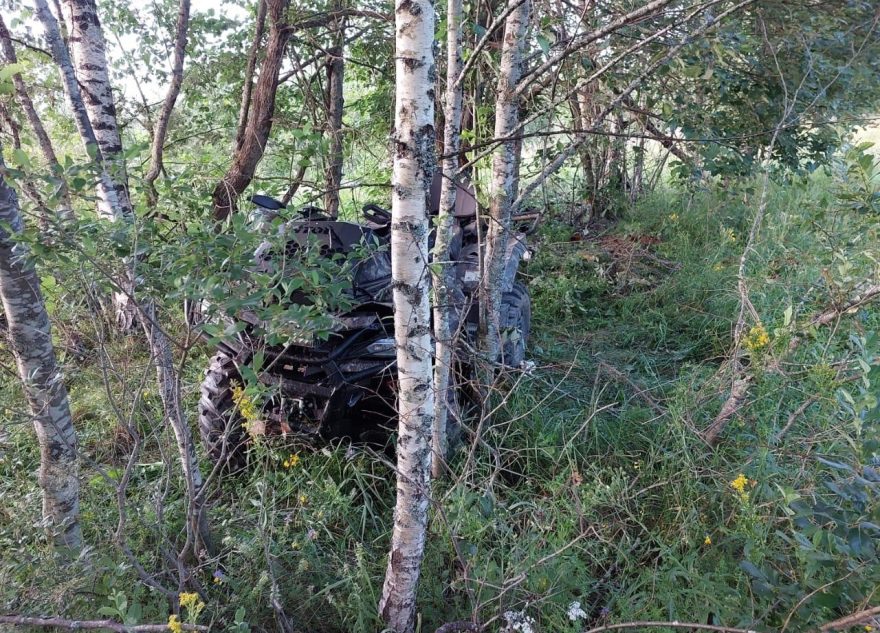 По факту гибели девочки в ДТП в Тверской области возбудили уголовное дело гибели