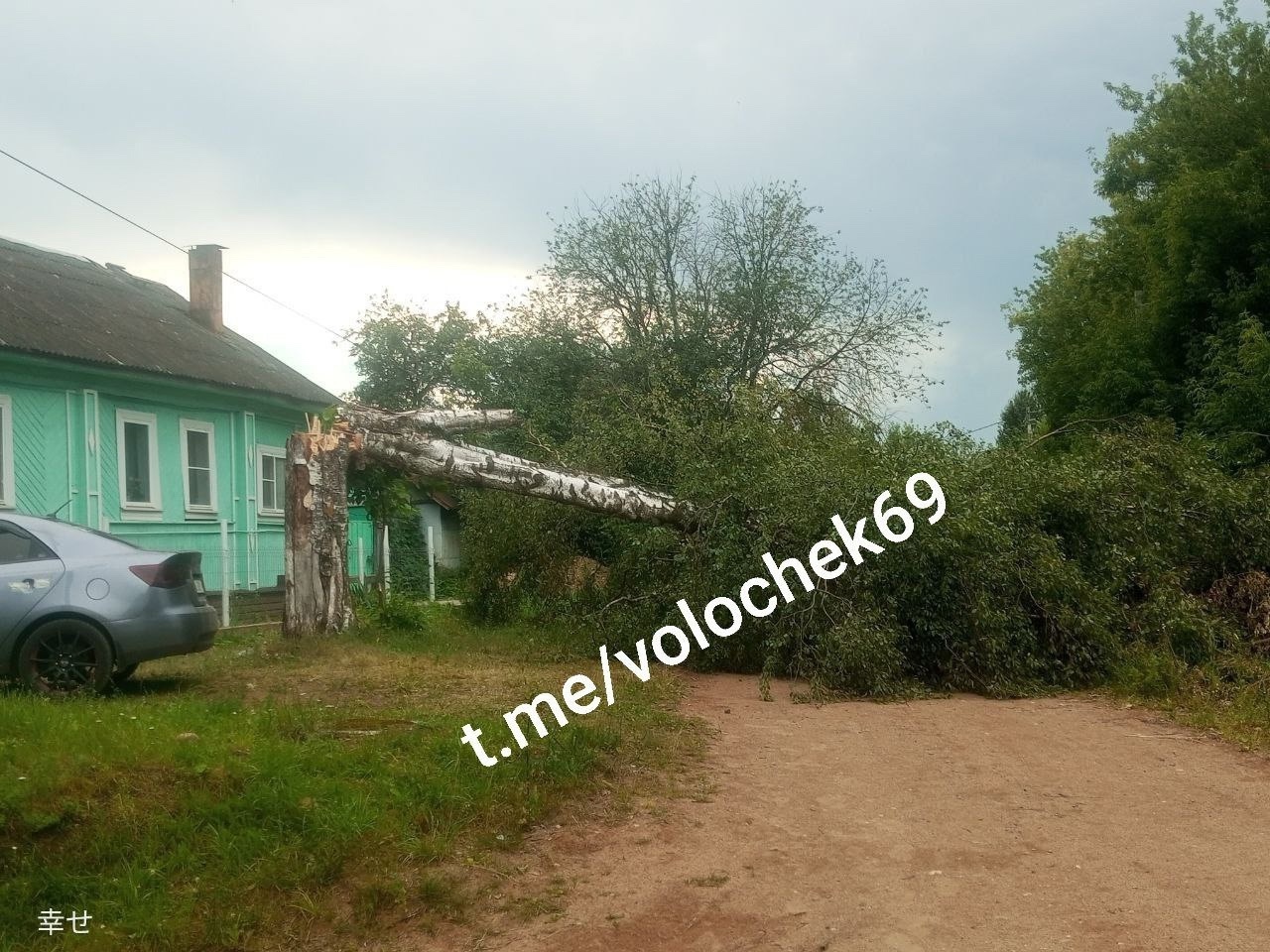 В соцсетях продолжают делиться последствиями обрушившейся на Тверскую область грозы