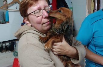 В Тверской области нашли собаку, которую искали больше месяца собаку