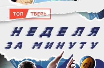 Неделя за минуту: тверской ежик в тумане, медвежьи семьи и черепашка