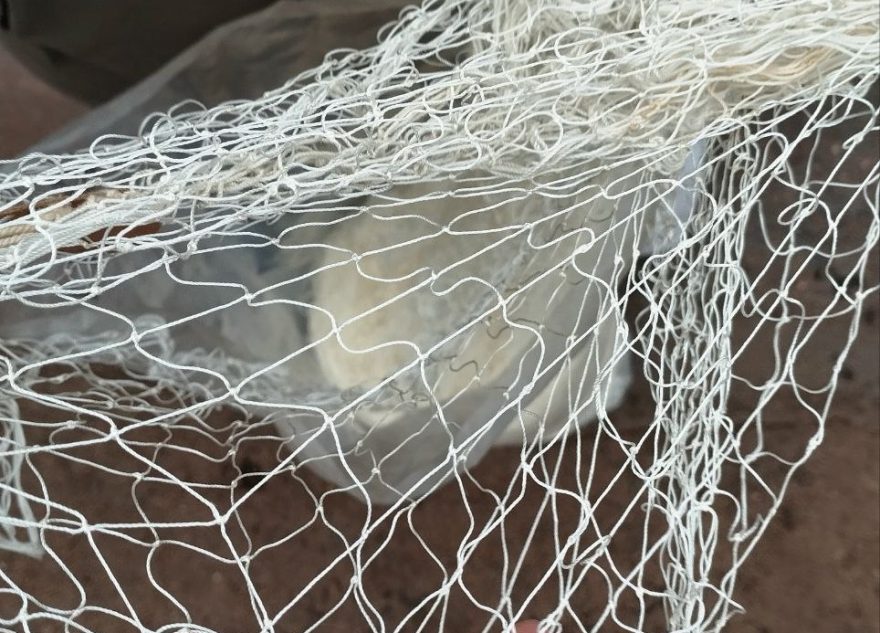 Рыбаки Тверской области могут помочь бойцам СВО рыбаки