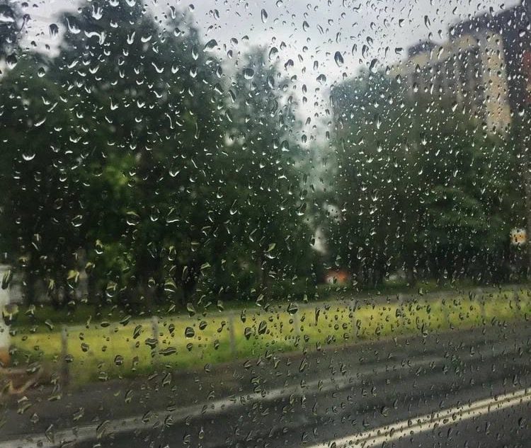 Эстетика капризного лета: как сделать красивые фото, если Тверскую область заливают дожди