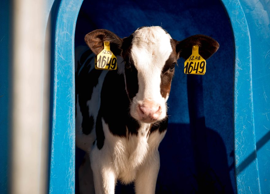 В Тверской области планируют создать 7 агроклассов