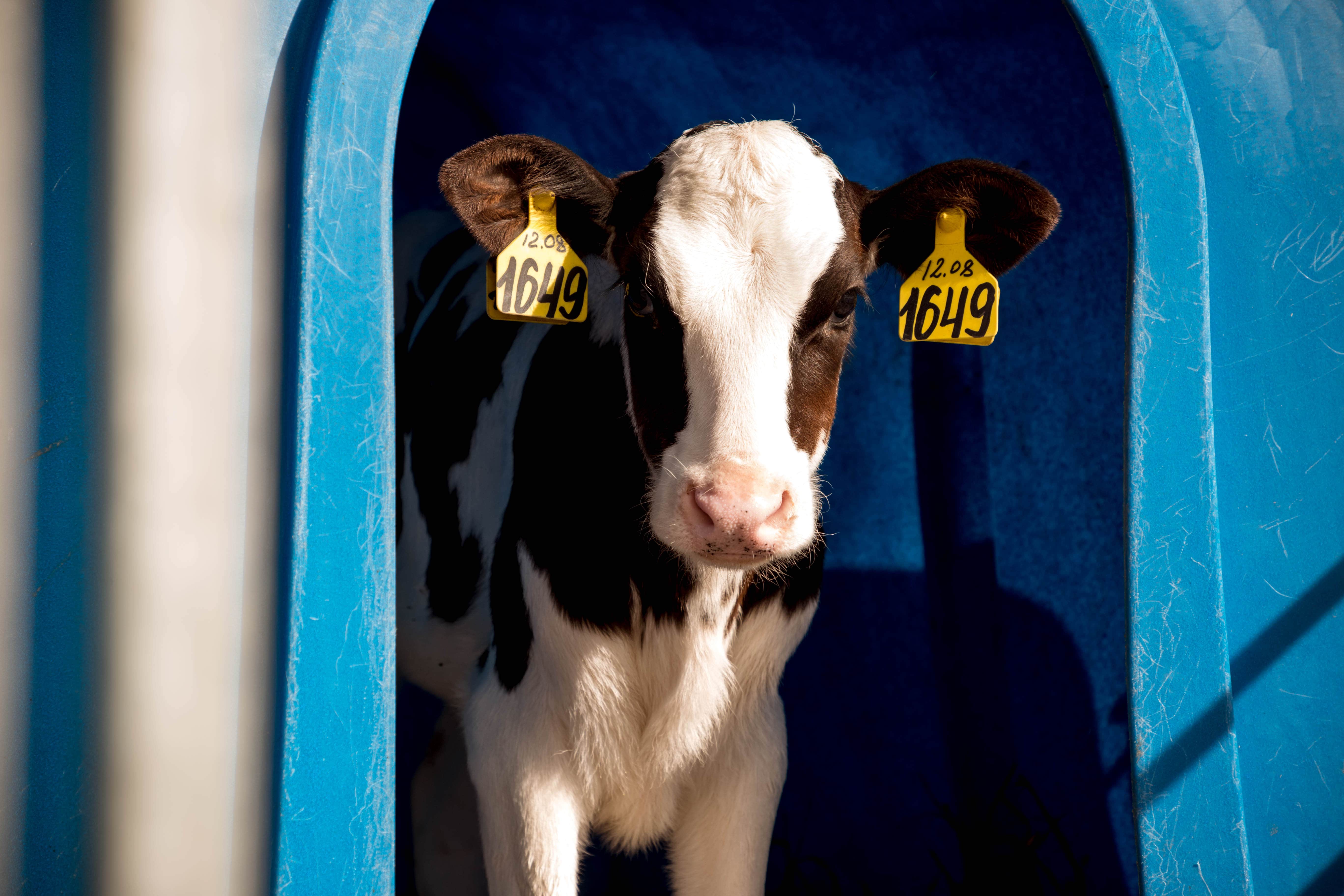 В Тверской области планируют создать 7 агроклассов