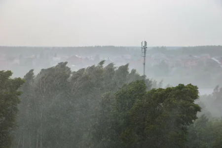Тридцатиградусная жара и грозы: какая погода ждет жителей Твери в День города Тридцатиградусная жара и грозы: какая погода ждет жителей Твери в День города