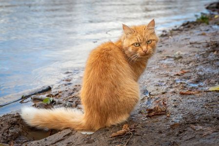 шокирующий