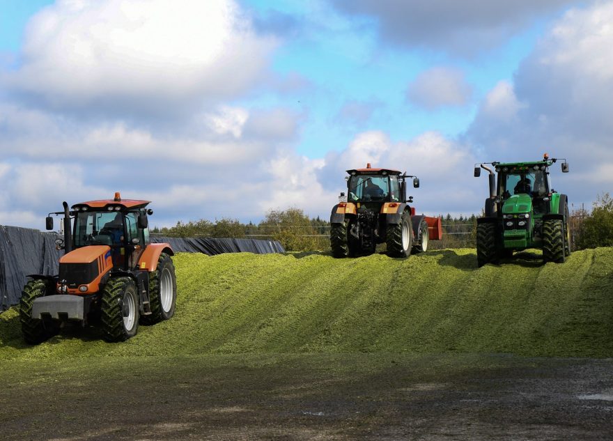 32 инвестпроекта и 1700 рабочих мест: в Тверской области развивается сельское хозяйство