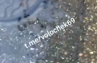 В Тверской области две недели канализация затапливает жилой дом В Тверской области две недели канализация затапливает жилой дом