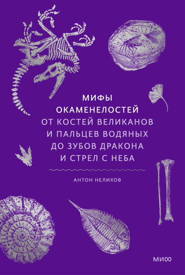 Читатель Толстов: преступление без наказания и мальчик с чувством золота