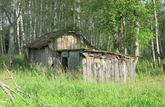 В глухом лесу Тверской области можно увидеть одинокий деревянный домик десу