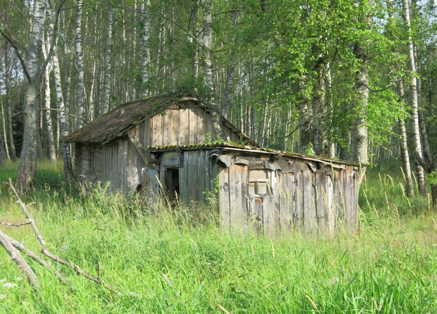 В глухом лесу Тверской области можно увидеть одинокий деревянный домик десу