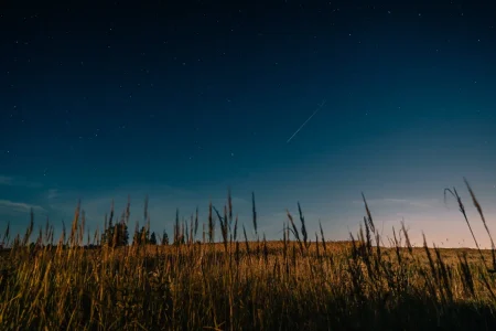 Жители Тверской области смогут наблюдать удивительный звездопад звездопад