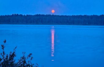 Жители Тверской области могут наблюдать редкое "оленье полнолуние" полнолуние