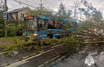 Сильный ураган в Твери повалил на дороге деревья ураган