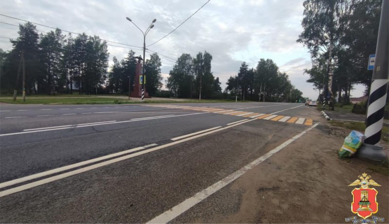 виновника