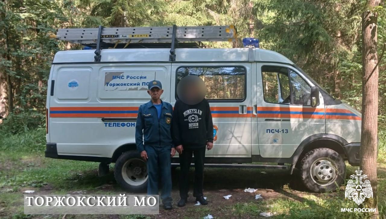 лесу