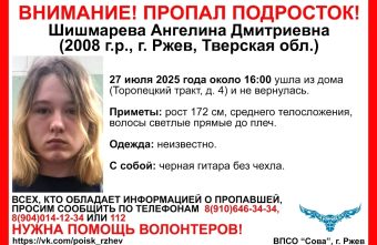 В Тверской области ищут подростка с черной гитарой пропала