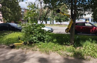 электросамокаты