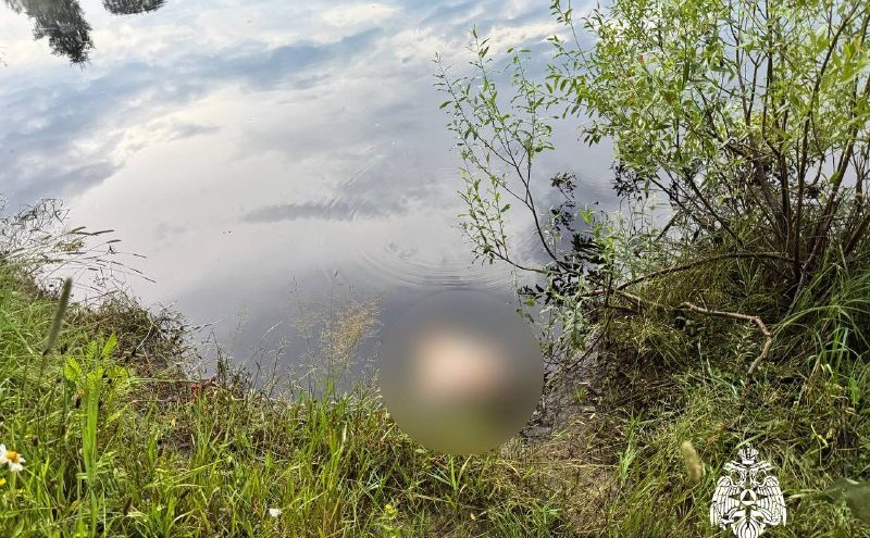 В Тверской области спасатели достали из воды тело подростка тело