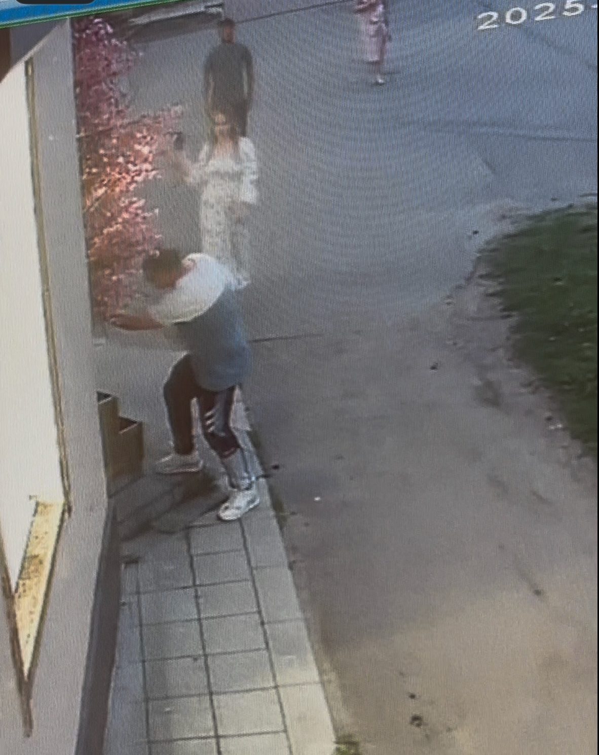 цветы
