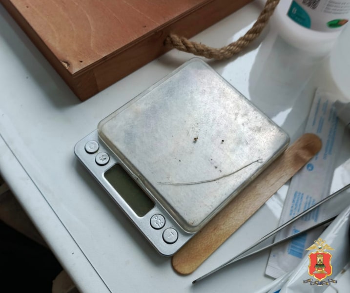 В Тверской области ликвидировали плантацию конопли