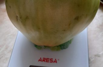 Жители Тверской области выясняют, у кого самые большие помидоры помидоры