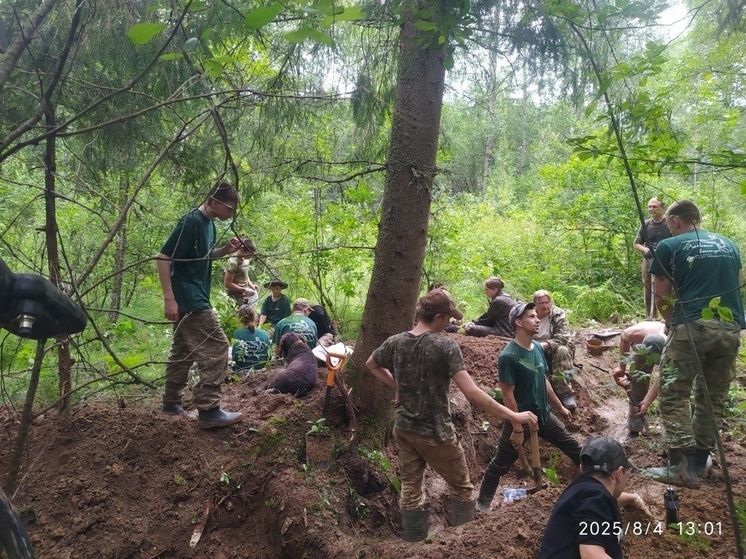 В Оленино пройдет поисковая экспедиция В Оленино пройдет поисковая экспедиция