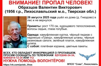 В Тверской области ищут пенсионера, который ушёл в лес и не вернулся лес