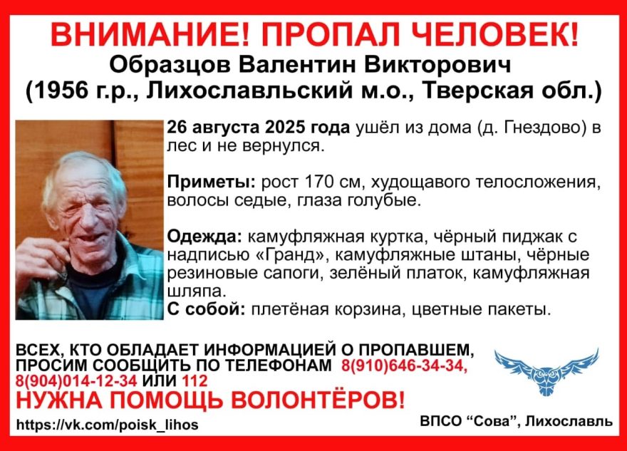 В Тверской области ищут пенсионера, который ушёл в лес и не вернулся лес