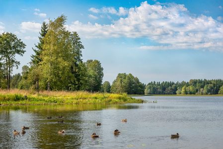 В Тверскую область идет последняя летняя жара жары