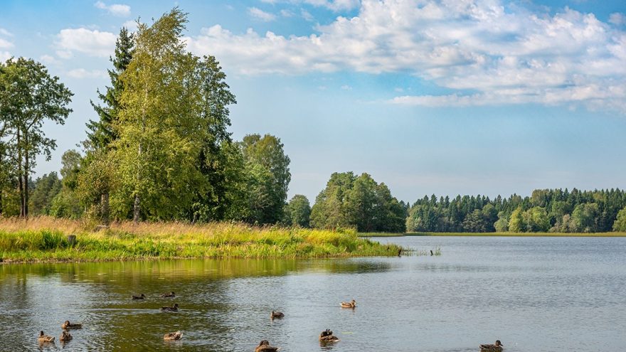 жары