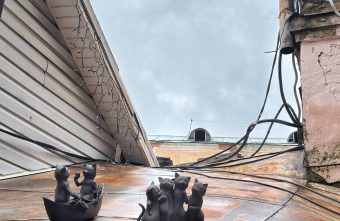 На крыше в центре Твери спрятались шесть котов На крыше в центре Твери спрятались шесть котов