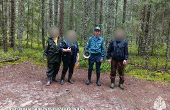 В Тверской области нашли четверых грибников, заблудившихся в лесах В Тверской области нашли четверых грибников, заблудившихся в лесах