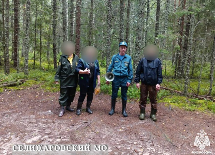 В Тверской области нашли четверых грибников, заблудившихся в лесах В Тверской области нашли четверых грибников, заблудившихся в лесах