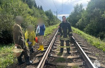 В Тверской области двое взрослых и ребенок заблудились в лесу